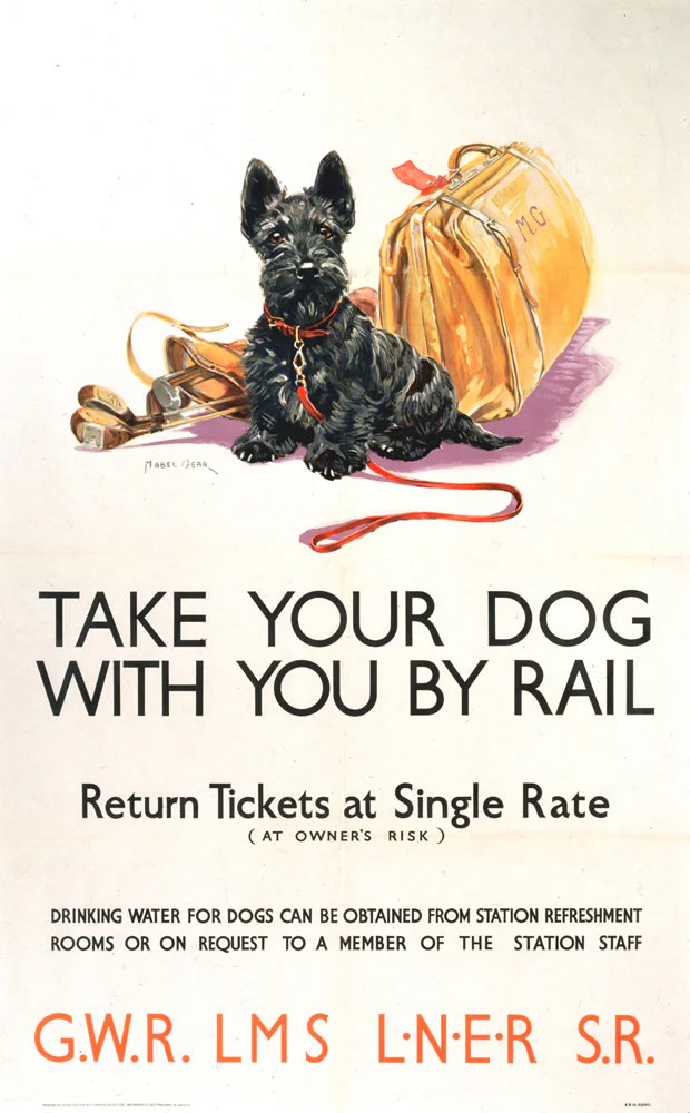 Take your dog by rail poster